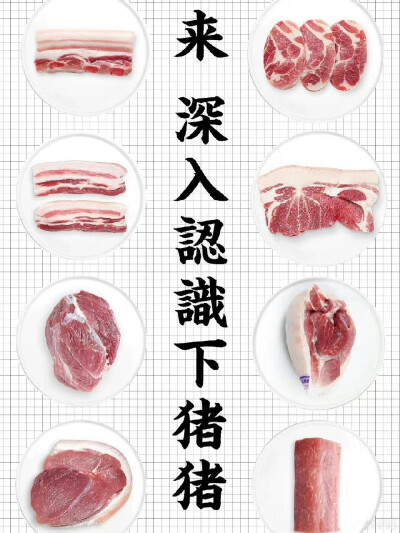 肉肉知识