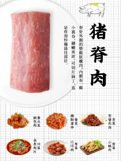 肉肉知识