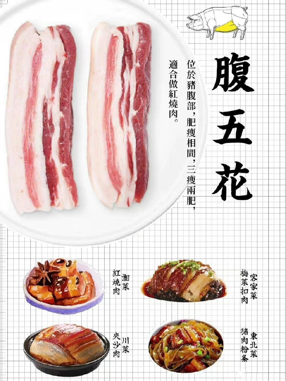 肉肉知识