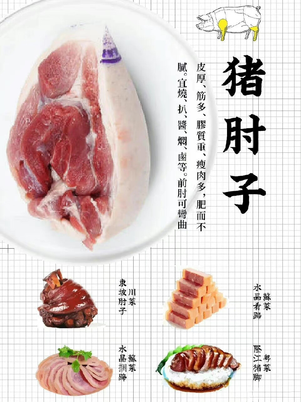 肉肉知识