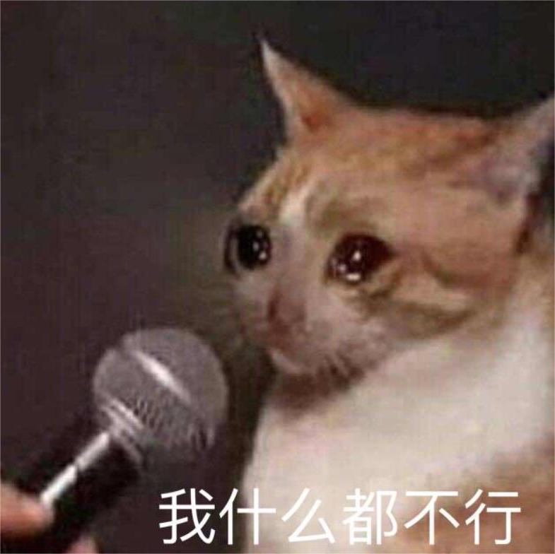 流泪猫猫头表情包