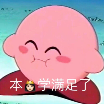 星之卡比 学习表情包