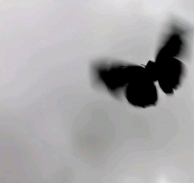 背景图
