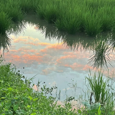 背景图