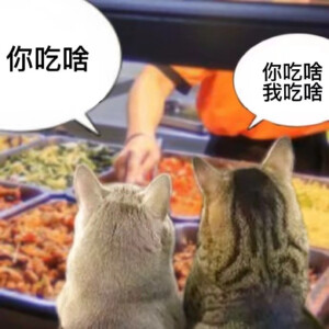 猹
表情包