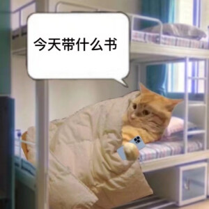 猹
表情包