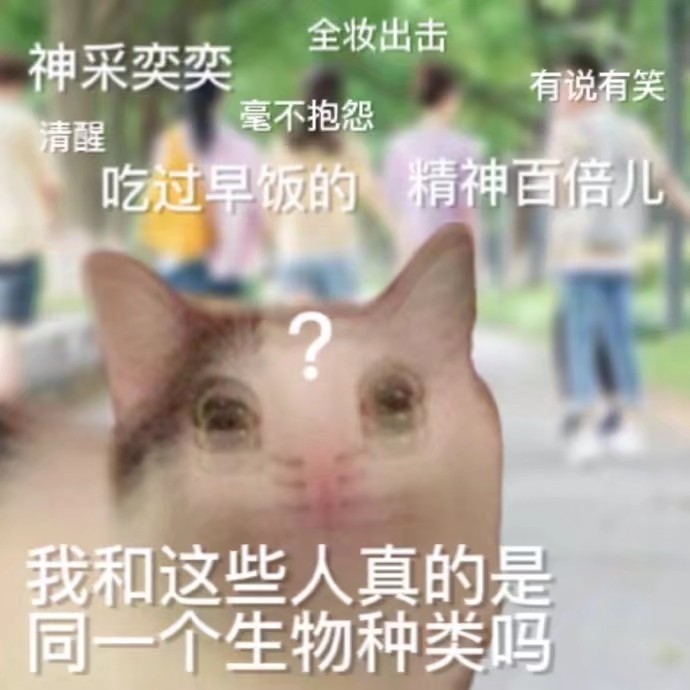 猹
表情包