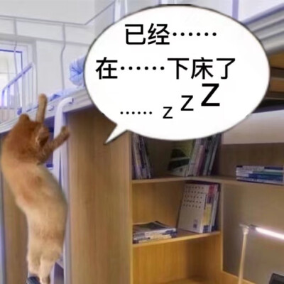 猹
表情包