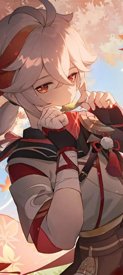 风停了,安静的世界,适合好好休息,明天见。