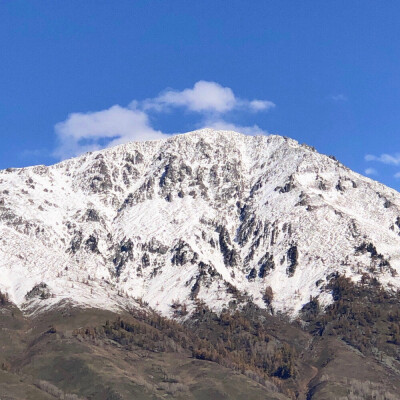 他会找到别的月光，你也会有你的月亮