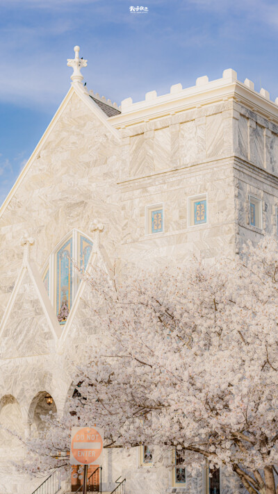 「Wallpaper. 街角的樱花教堂」
cr：夹子侠
