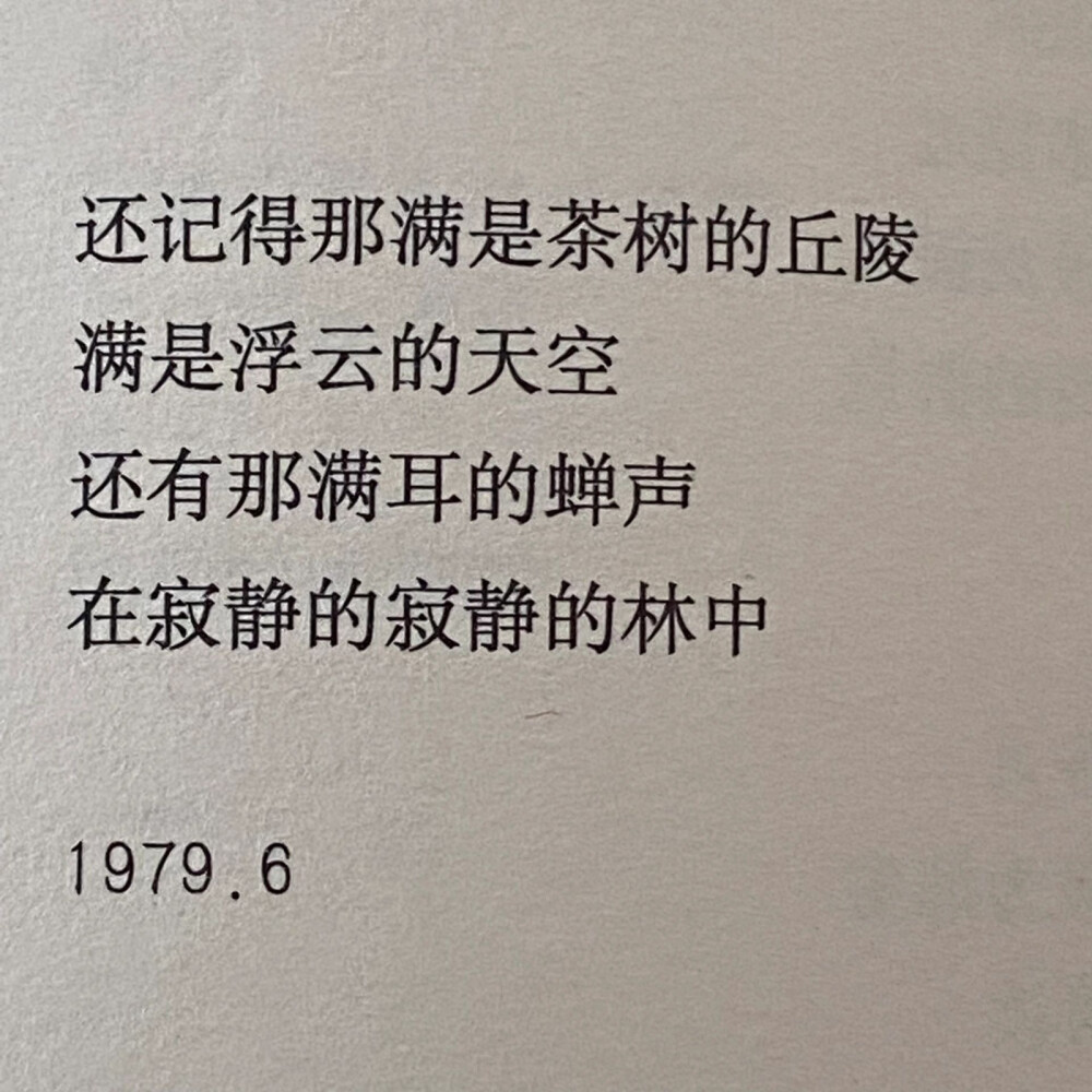 青春是一本太仓促的书