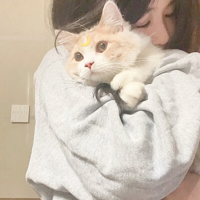 情头