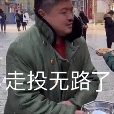 丽丽土味表情包