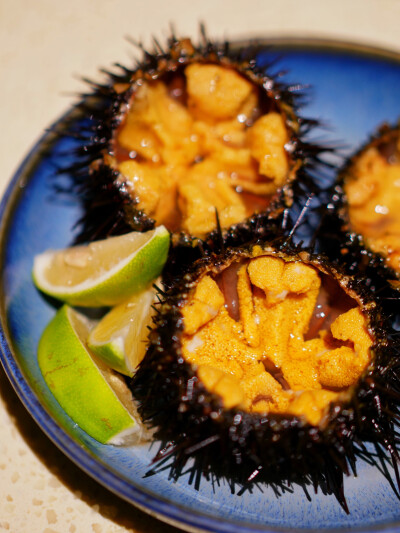 威海这边的大黑虫子竟然炖得胡椒汤浙江都是炖小米粥诶
比巴掌还要大的乳山蚝王淋些许青柠汁就能嗦到最极致的甘甜
海胆比日料店的还灵飞蟹每只都胖嘟嘟烤面包太大块太顶了烤海肠到底是什么东海表示不出这玩意儿哈哈哈