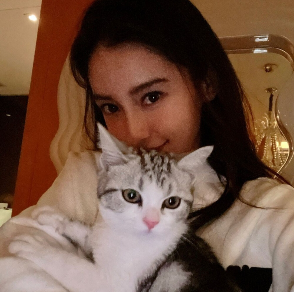 杨颖Angelababy
拿图点赞