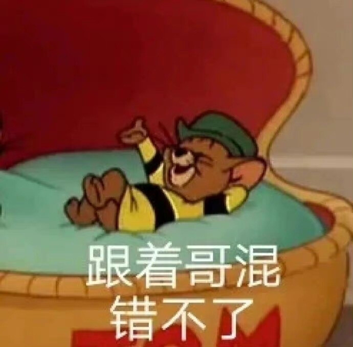 表情包 搞笑 小猫咪