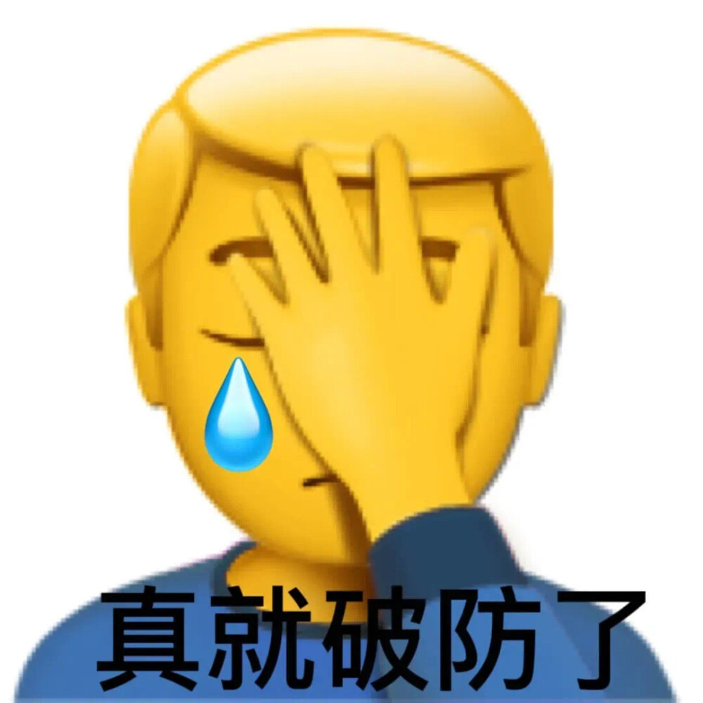 表情包 搞笑 小猫咪