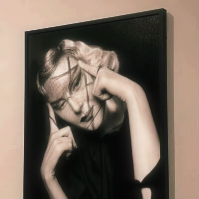 Elegance and prejudice