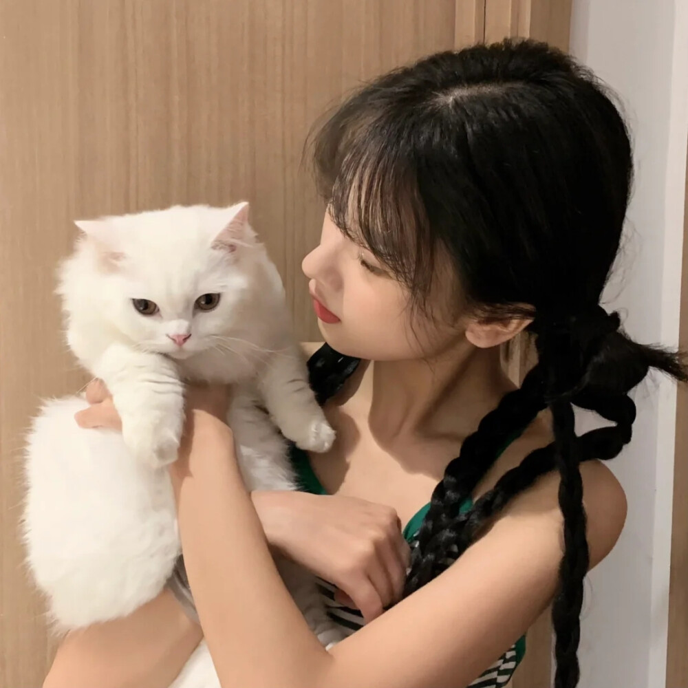 抱猫女头