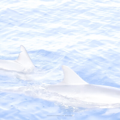 你说蓝色是你最爱的颜色
↪背景图