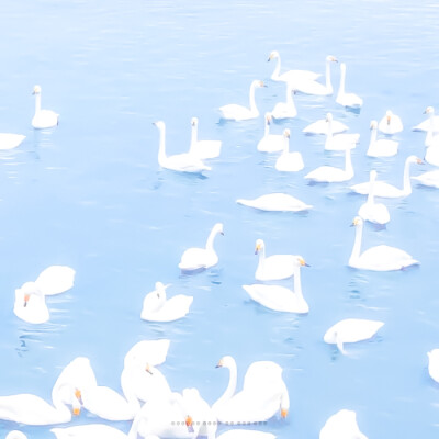 你说蓝色是你最爱的颜色
↪背景图