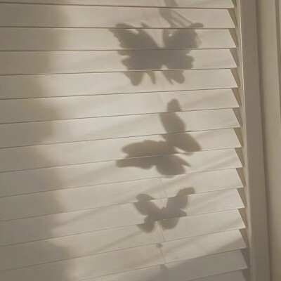 岁月静好 温暖如春ᥫᩣ