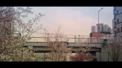 韩剧《一半的一半》，治愈每个需要温暖的人。