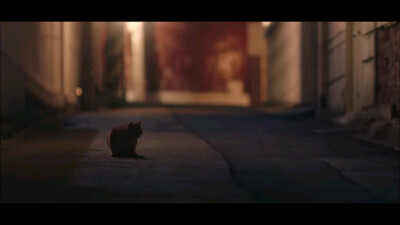 韩剧《一半的一半》，治愈每个需要温暖的人。