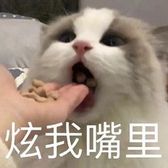 猫猫表情包，可爱/动漫