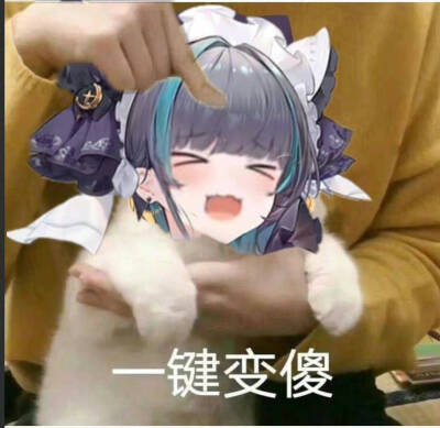 猫猫表情包，可爱/动漫