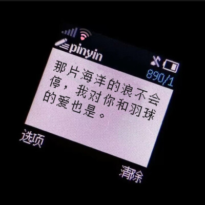 羽球人专属背景图，拿图点赞