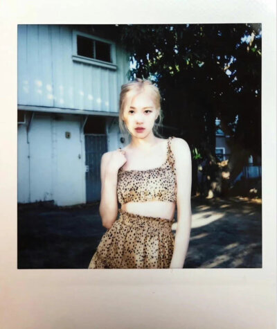 Polaroid