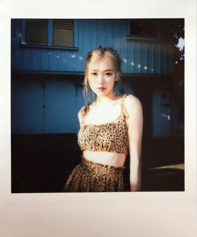 Polaroid