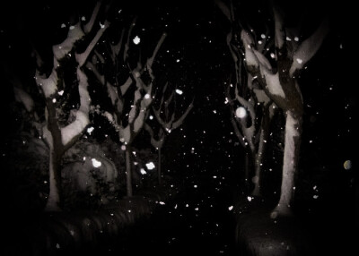 没有预谋的一场大雪里藏住了太多想法 黑白色的电影上演你会再次抬头看吗***&It's snowing