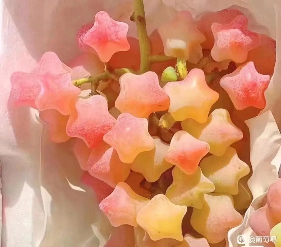星星葡萄/桃心葡萄