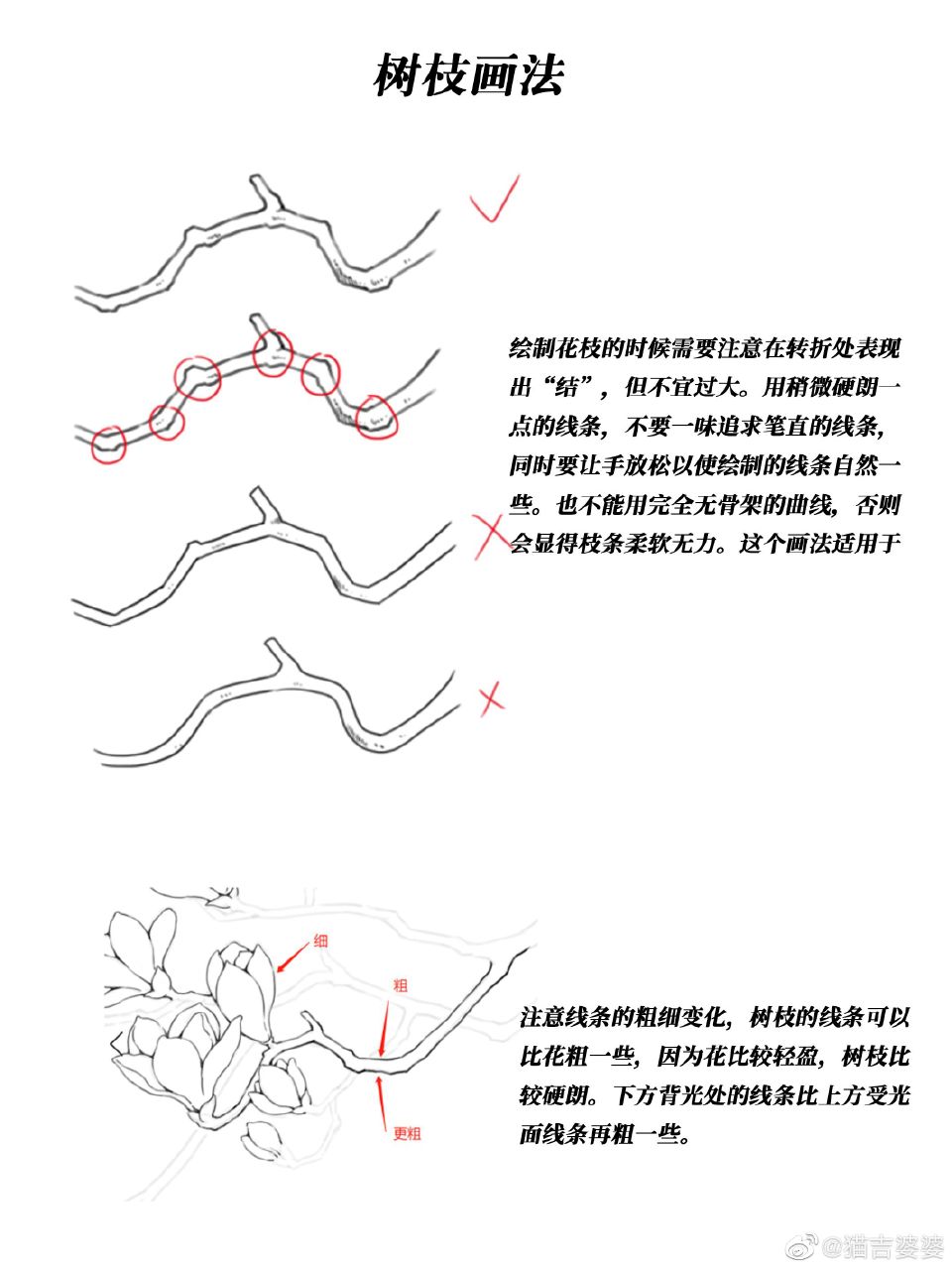 来源：猫吉婆婆