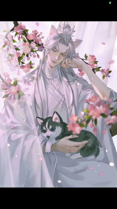 二哈和他的白猫师尊