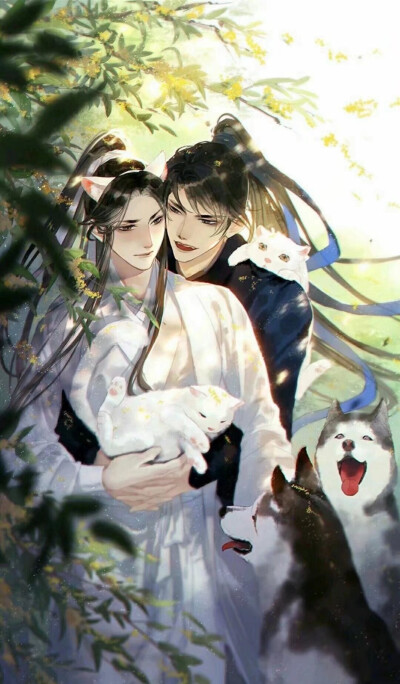 二哈和他的白猫师尊