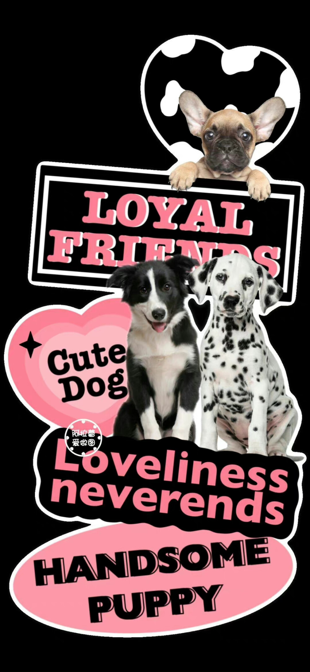 一期可爱锁屏·壁纸 ​
图源:阿拉蕾爱做图
#动物#