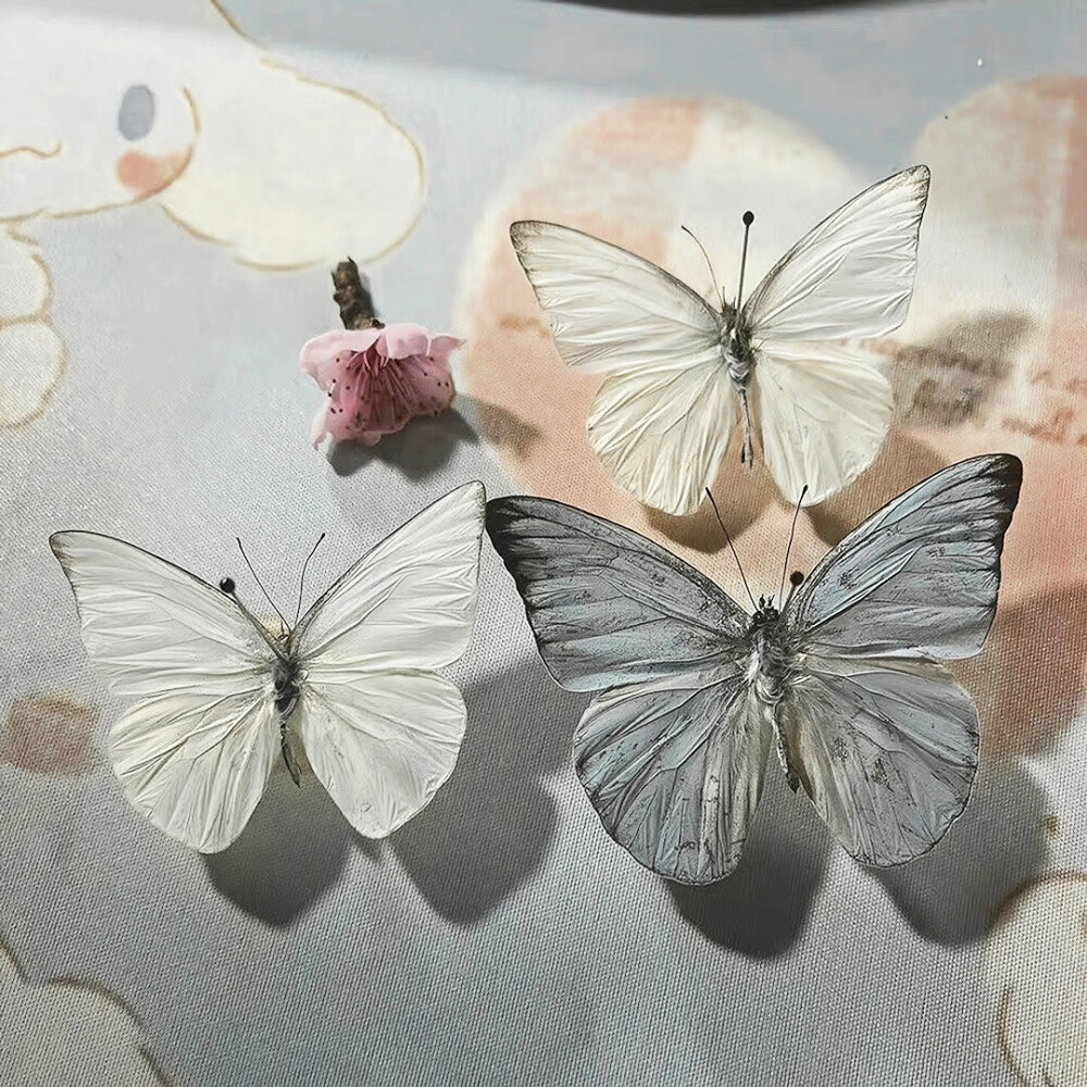 Paper Butterfly（纸蝴蝶）