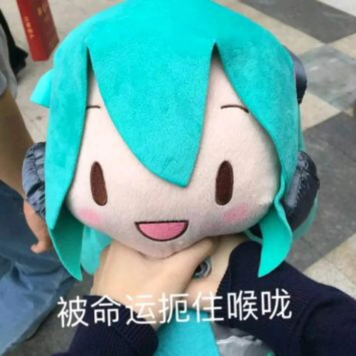 初音fufu