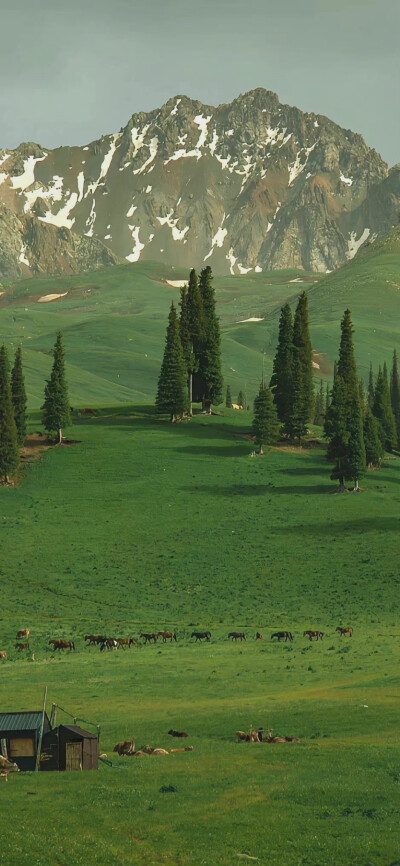 手机壁纸 ins风景