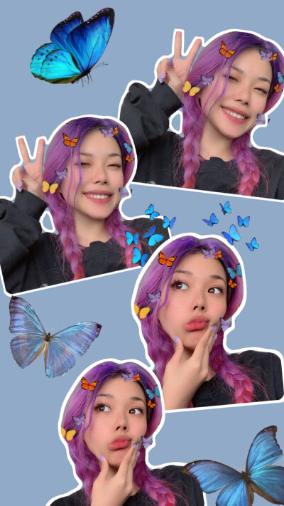 万妮达 手机壁纸