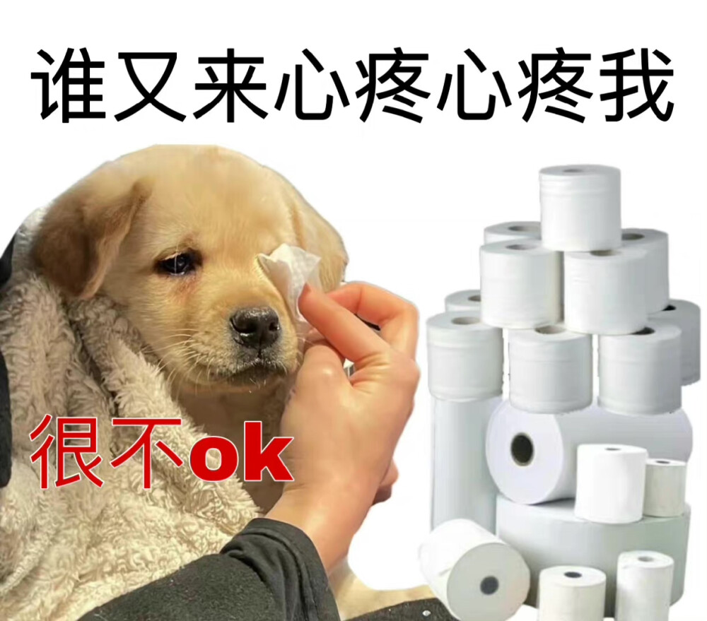 转微博小红书
侵权可删
搬运为爱好无商用