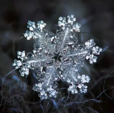 雪花