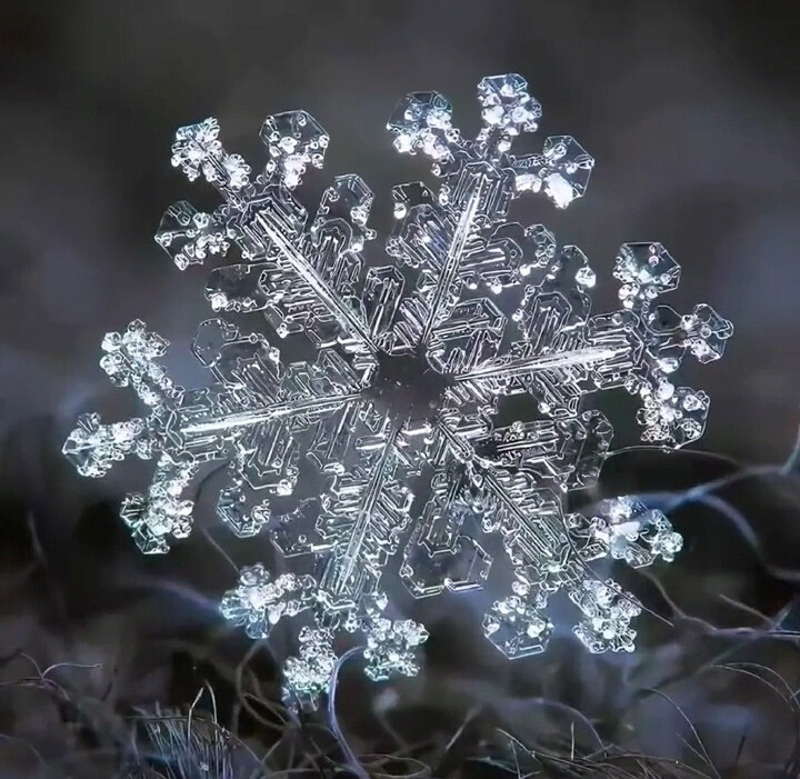 雪花