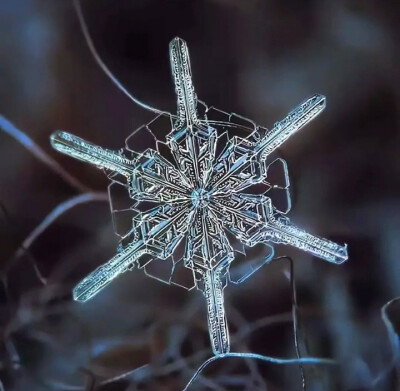 雪花