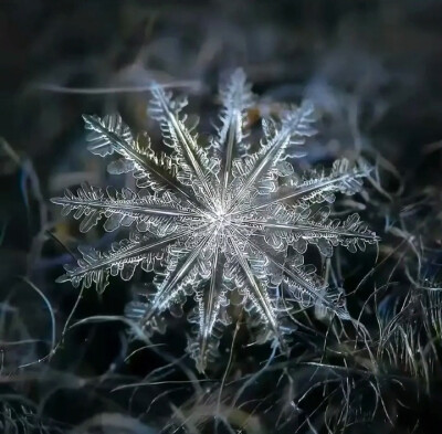 雪花