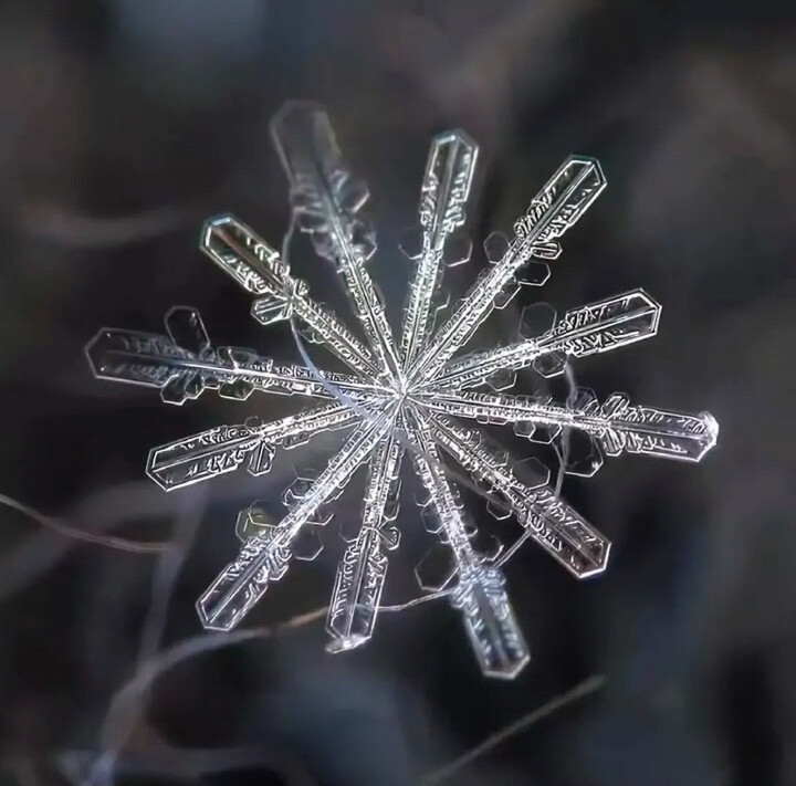 雪花